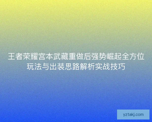 王者荣耀宫本武藏重做后强势崛起全方位玩法与出装思路解析实战技巧
