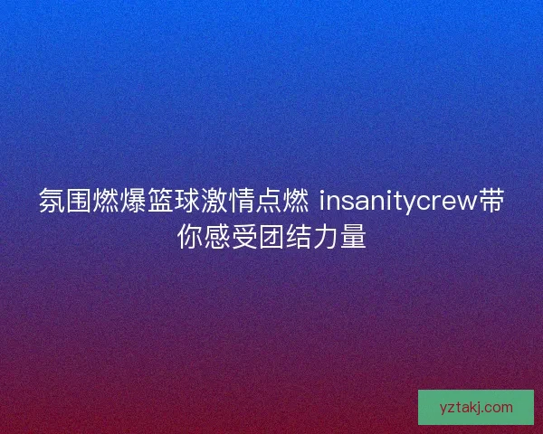 氛围燃爆篮球激情点燃 insanitycrew带你感受团结力量
